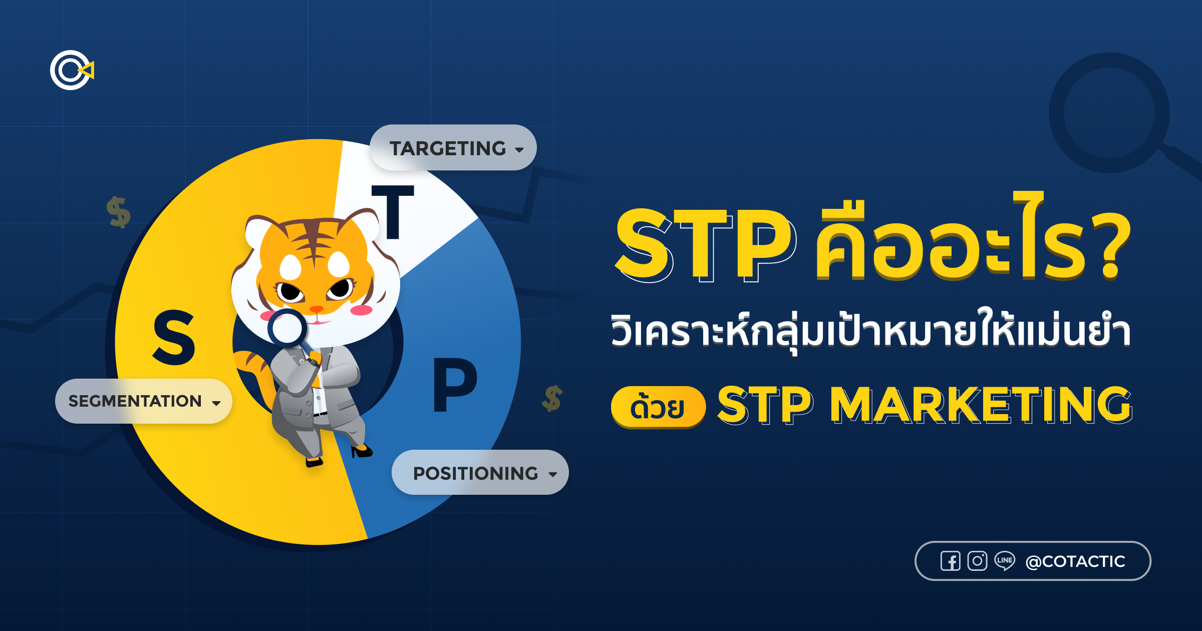 STP Marketing