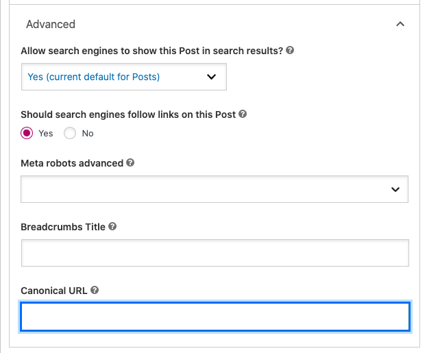 URL ที่เราต้องการให้ Index ในช่อง Canonical URL