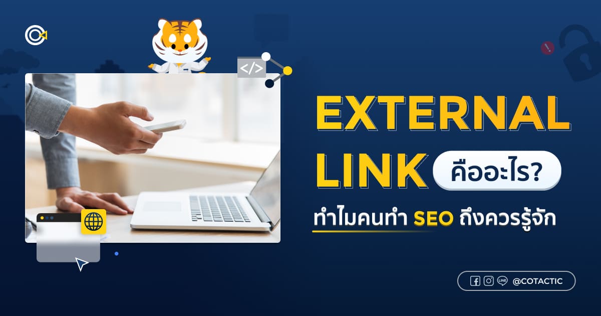 External Link คืออะไร ทำไมคนทำ SEO ถึงไม่ควรมองข้าม บทความจาก Cotactic