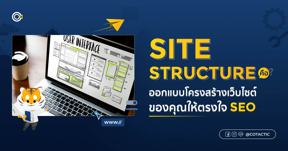 site structure คือ