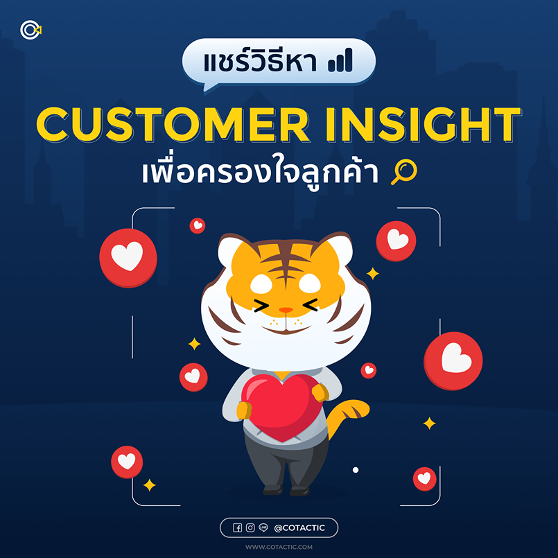 Customer Insight คือ