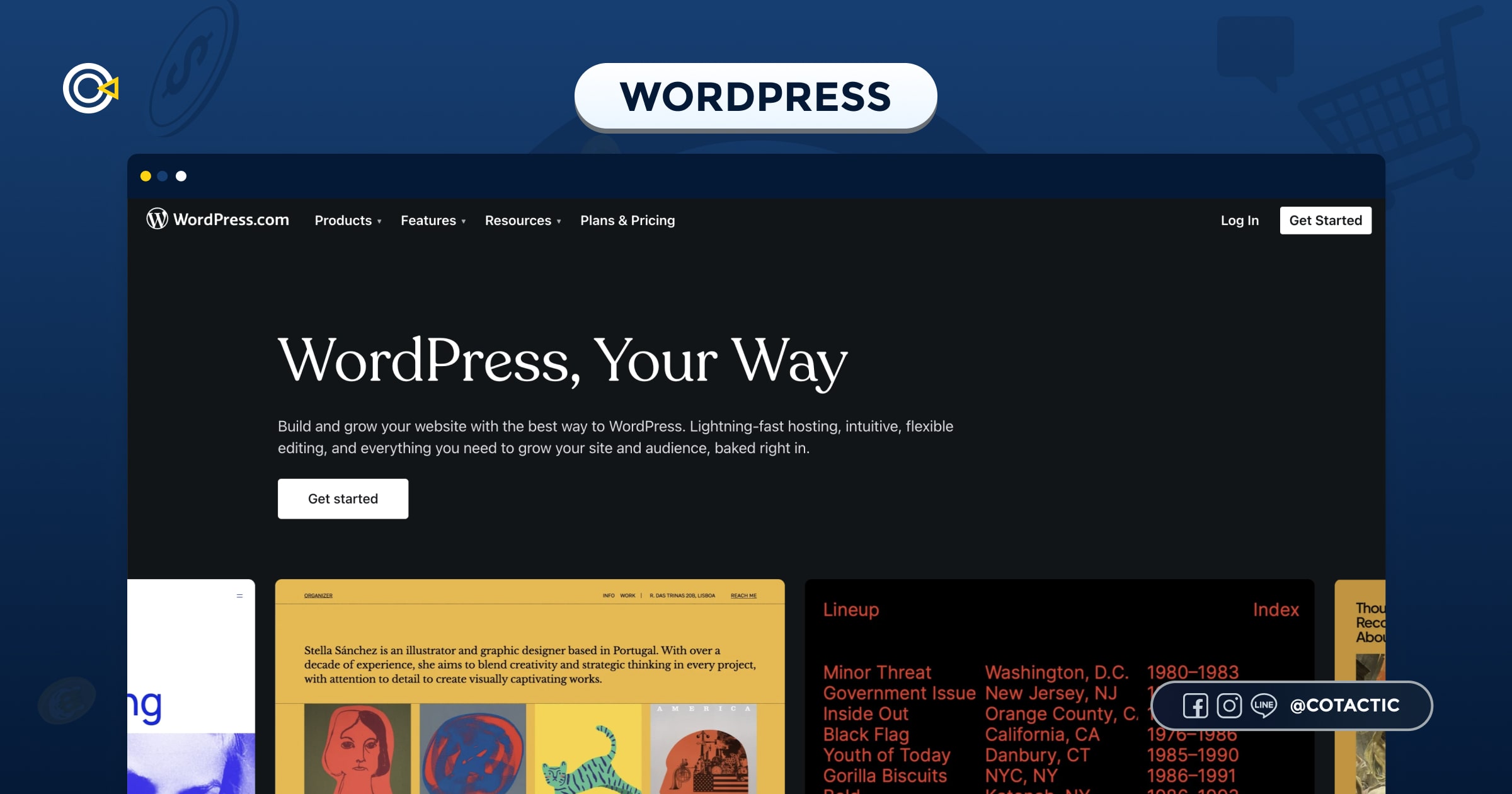  WordPress 