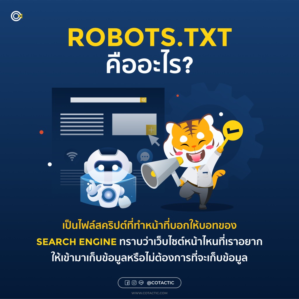 Robots.txt คืออะไร ส่วนนี้จะอธิบายความหมายของ Robots.txt