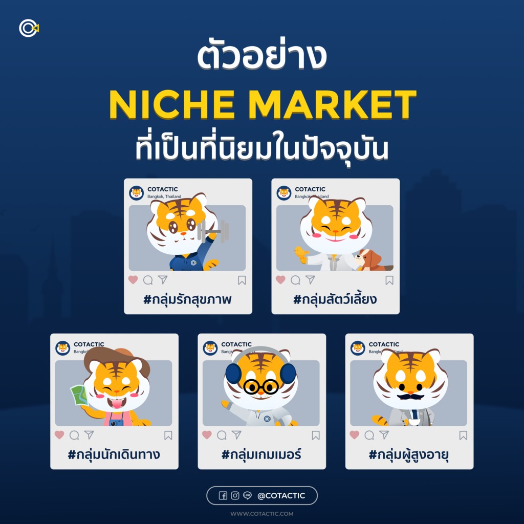 ตลาด Niche Market มีกลุ่มเป้าหมายอะไรบ้าง