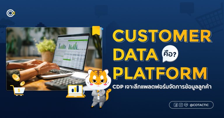 CDP คืออะไร? เจาะลึกแพลตฟอร์มจัดการข้อมูลลูกค้า | Cotactic