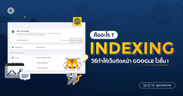 Indexing คืออะไร? วิธีทำให้เว็บติดหน้า Google | Cotactic